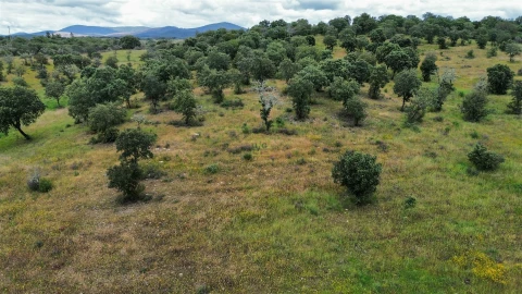 Terreno Agricola ou Rústico para Venda em Penamacor