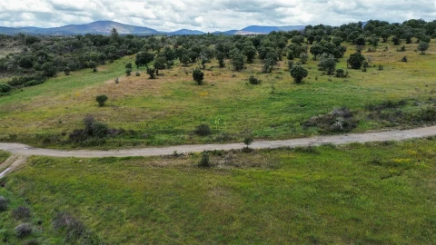 Terreno Agricola ou Rústico para Venda em Penamacor