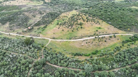 Terreno Agricola ou Rústico para Venda em Penamacor