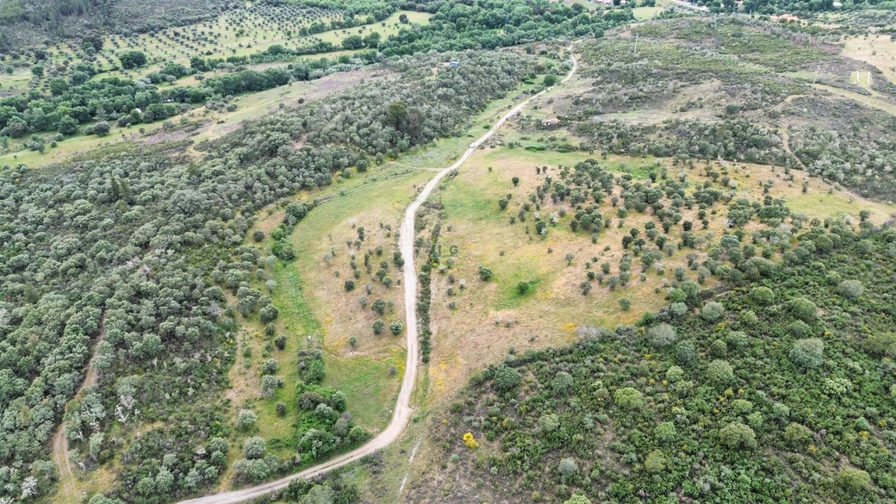 Terreno Agricola ou Rústico para Venda em Penamacor Foto 22