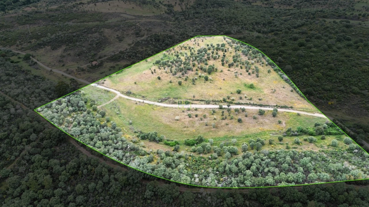 Terreno Agricola ou Rústico para Venda em Penamacor Foto 15