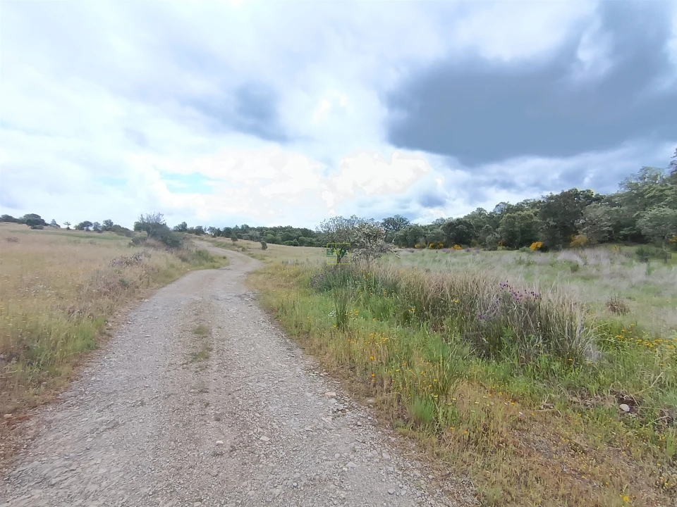 Terreno Agricola ou Rústico para Venda em Penamacor Foto 7