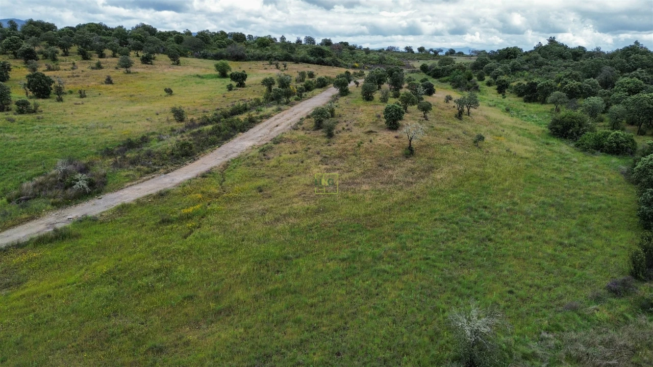 Terreno Agricola ou Rústico para Venda em Penamacor Foto 37