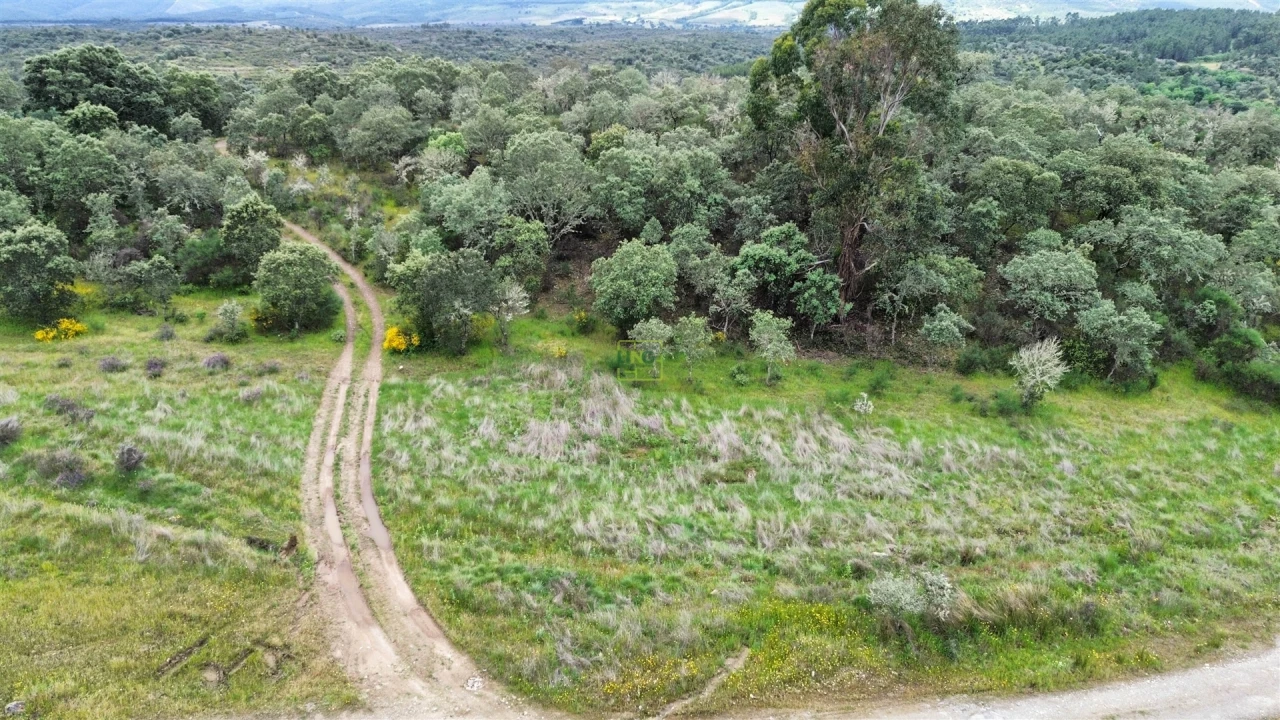 Terreno Agricola ou Rústico para Venda em Penamacor Foto 30