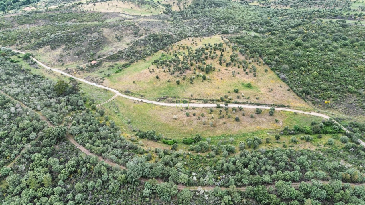 Terreno Agricola ou Rústico para Venda em Penamacor Foto 14