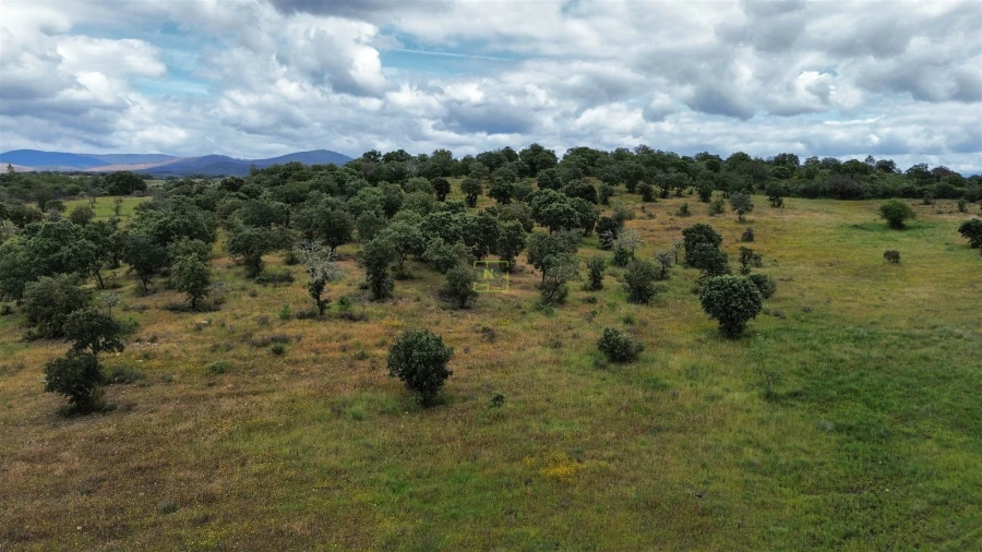 Terreno Agricola ou Rústico para Venda em Penamacor Foto 28