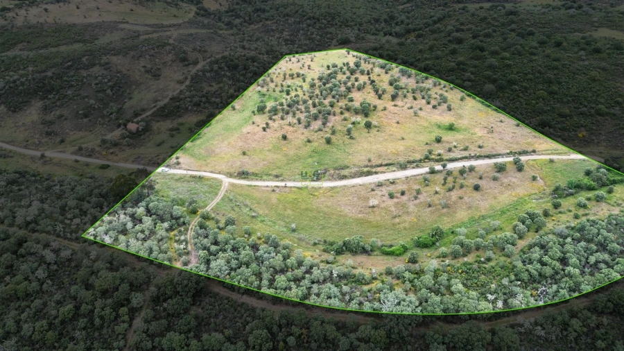 Terreno Agricola ou Rústico para Venda em Penamacor Foto 13