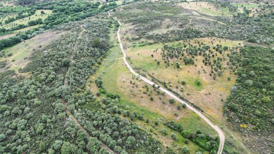 Terreno Agricola ou Rústico para Venda em Penamacor Foto 18