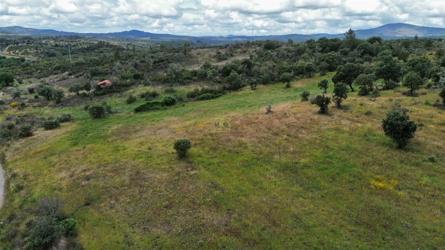Terreno Agricola ou Rústico para Venda em Penamacor Foto 34