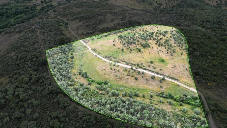 Terreno Agricola ou Rústico para Venda em Penamacor Foto 17