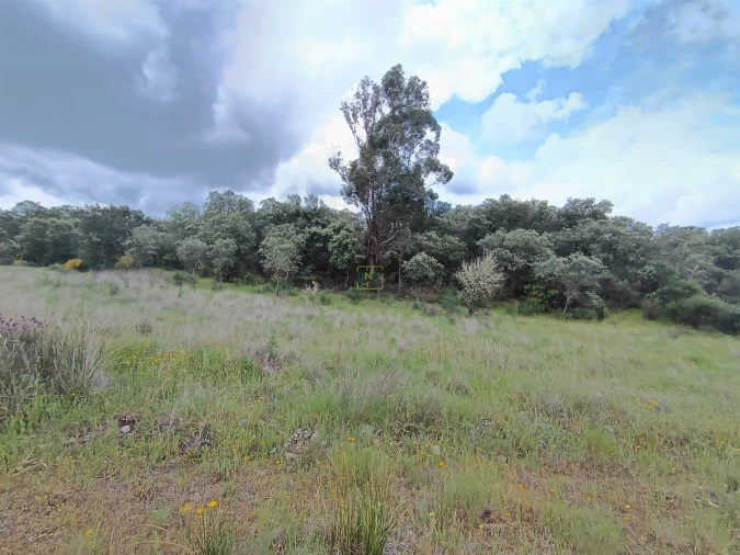 Terreno Agricola ou Rústico para Venda em Penamacor Foto 6