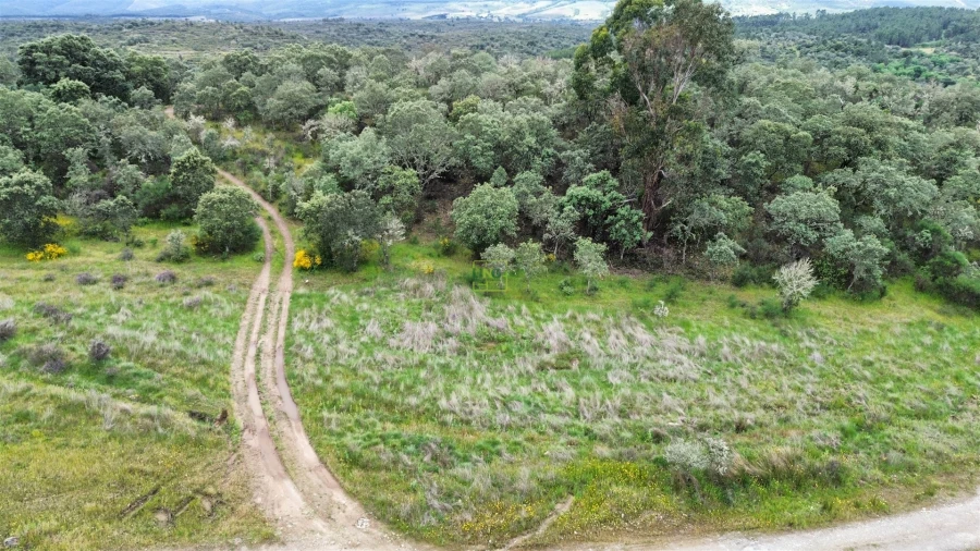 Terreno Agricola ou Rústico para Venda em Penamacor Foto 30