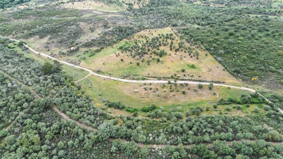 Terreno Agricola ou Rústico para Venda em Penamacor Foto 14