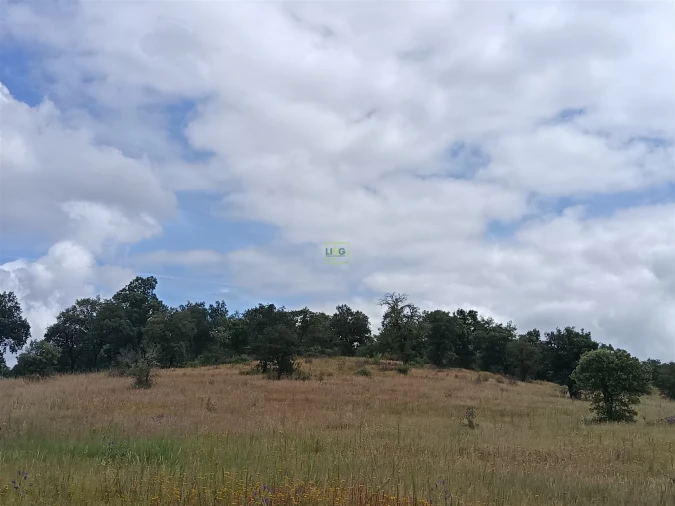 Terreno Agricola ou Rústico para Venda em Penamacor Foto 2