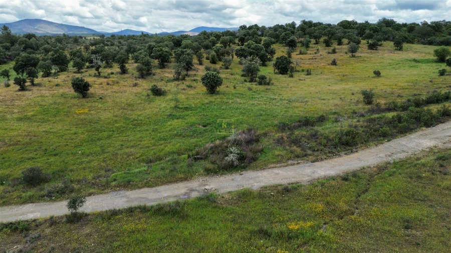 Terreno Agricola ou Rústico para Venda em Penamacor Foto 35