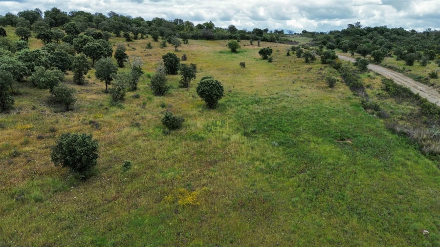 Terreno Agricola ou Rústico para Venda em Penamacor Foto 32