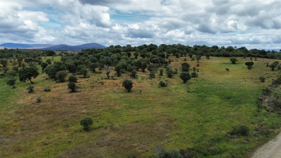 Terreno Agricola ou Rústico para Venda em Penamacor Foto 29