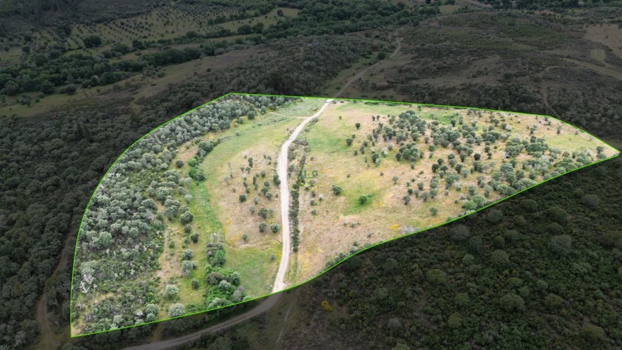 Terreno Agricola ou Rústico para Venda em Penamacor Foto 23