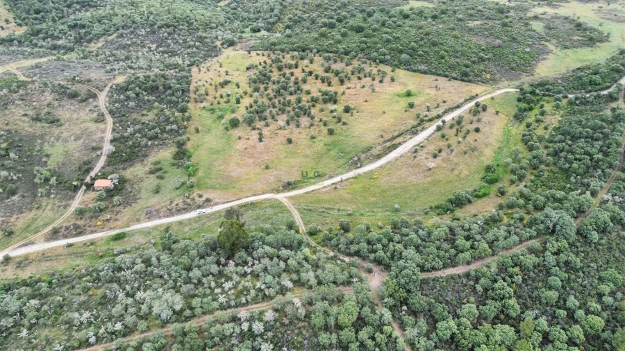 Terreno Agricola ou Rústico para Venda em Penamacor Foto 8