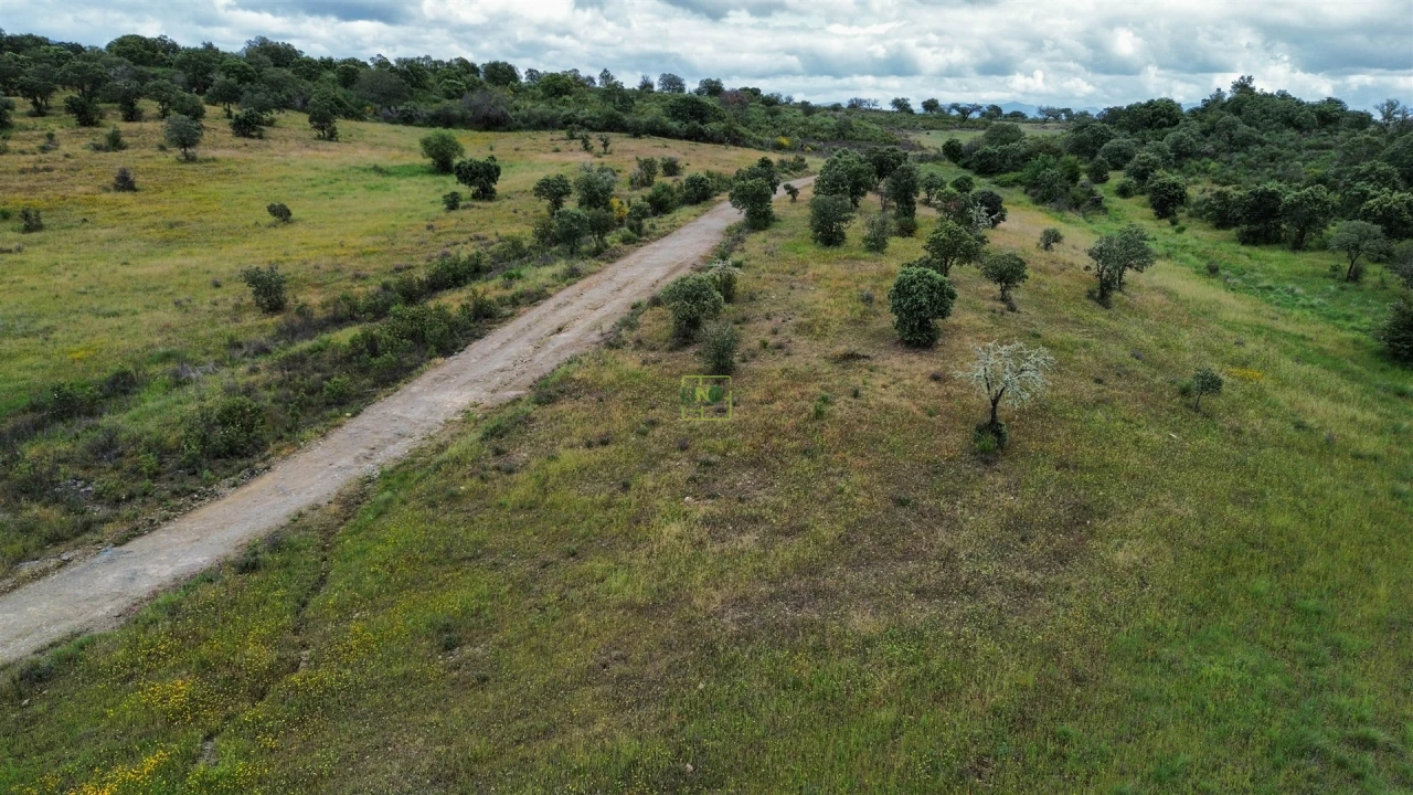 Terreno Agricola ou Rústico para Venda em Penamacor Foto 36