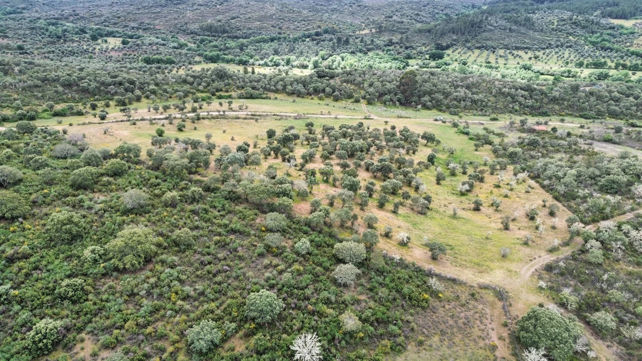 Terreno Agricola ou Rústico para Venda em Penamacor Foto 1