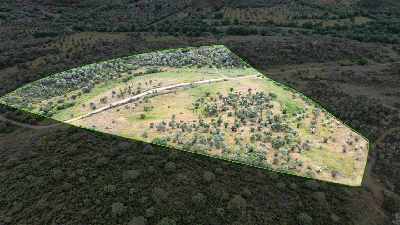 Terreno Agricola ou Rústico para Venda em Penamacor Foto 25