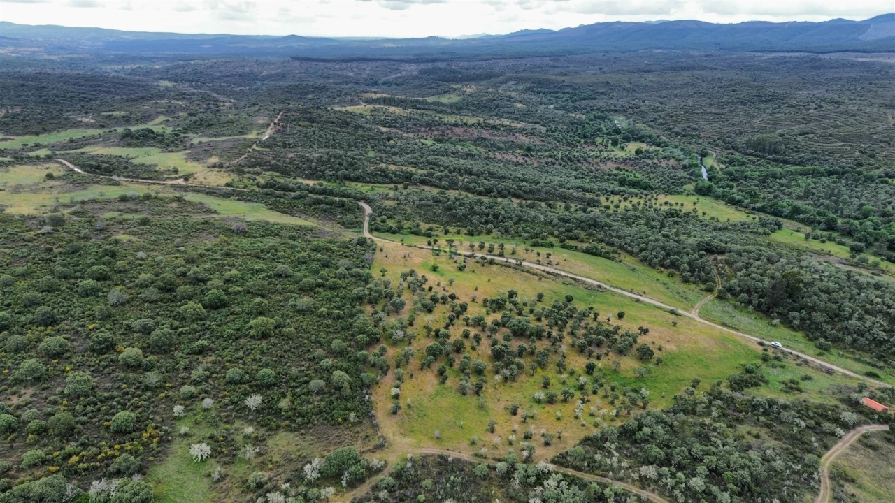 Terreno Agricola ou Rústico para Venda em Penamacor Foto 27
