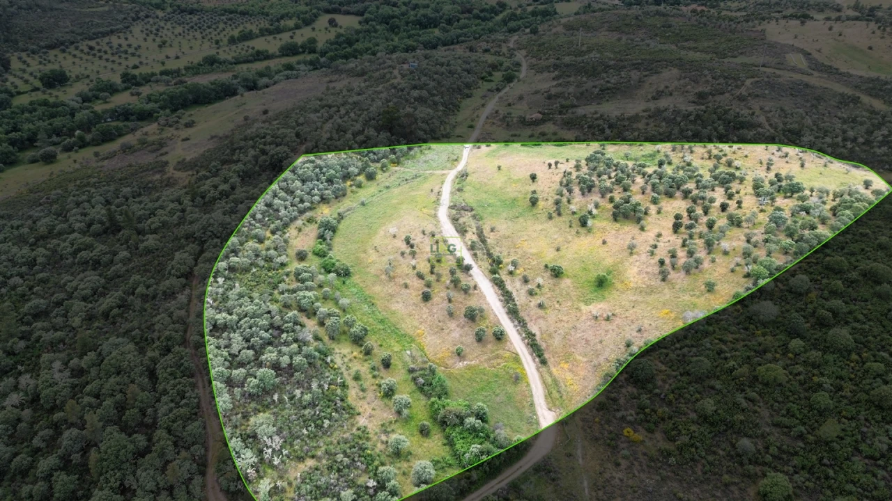 Terreno Agricola ou Rústico para Venda em Penamacor Foto 21