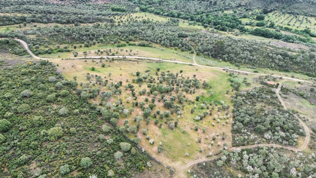 Terreno Agricola ou Rústico para Venda em Penamacor Foto 26