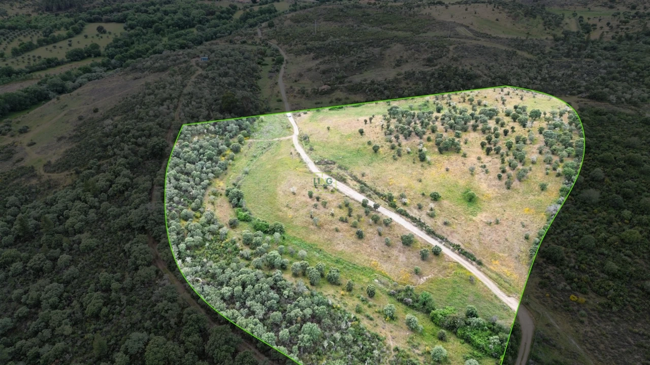 Terreno Agricola ou Rústico para Venda em Penamacor Foto 19