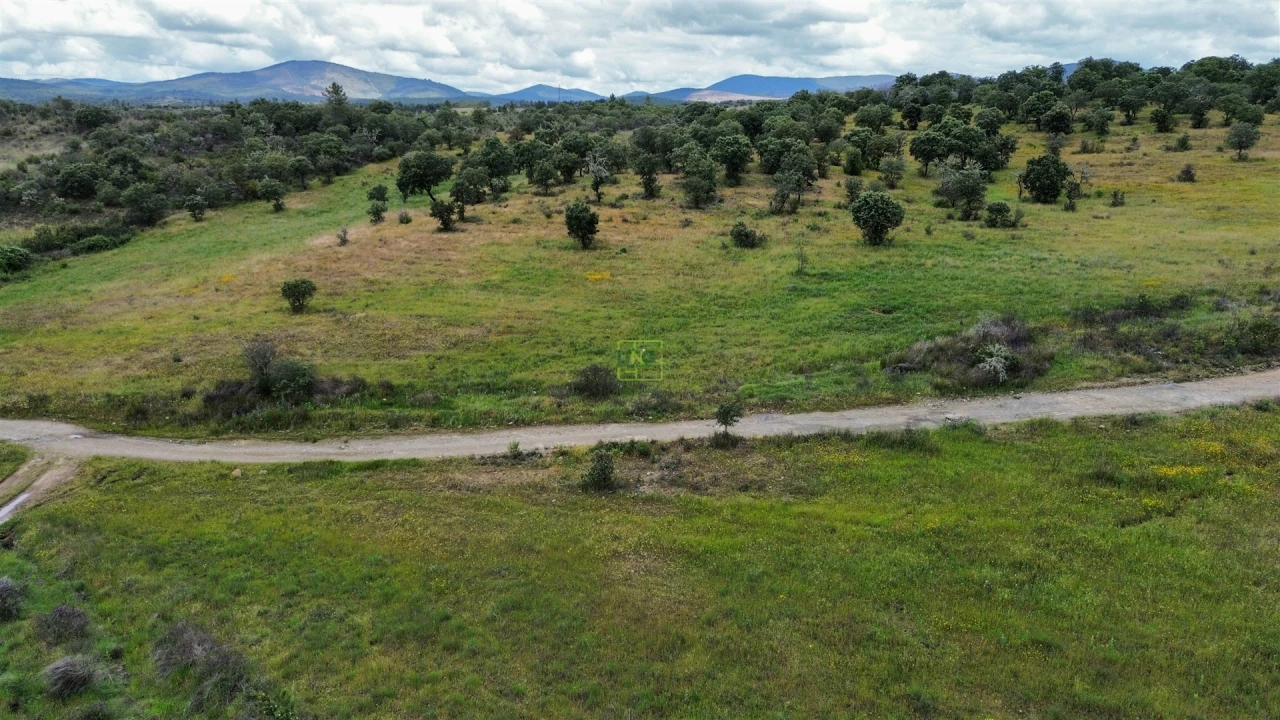 Terreno Agricola ou Rústico para Venda em Penamacor Foto 40