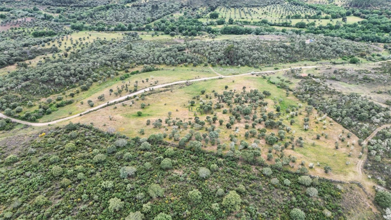 Terreno Agricola ou Rústico para Venda em Penamacor Foto 24