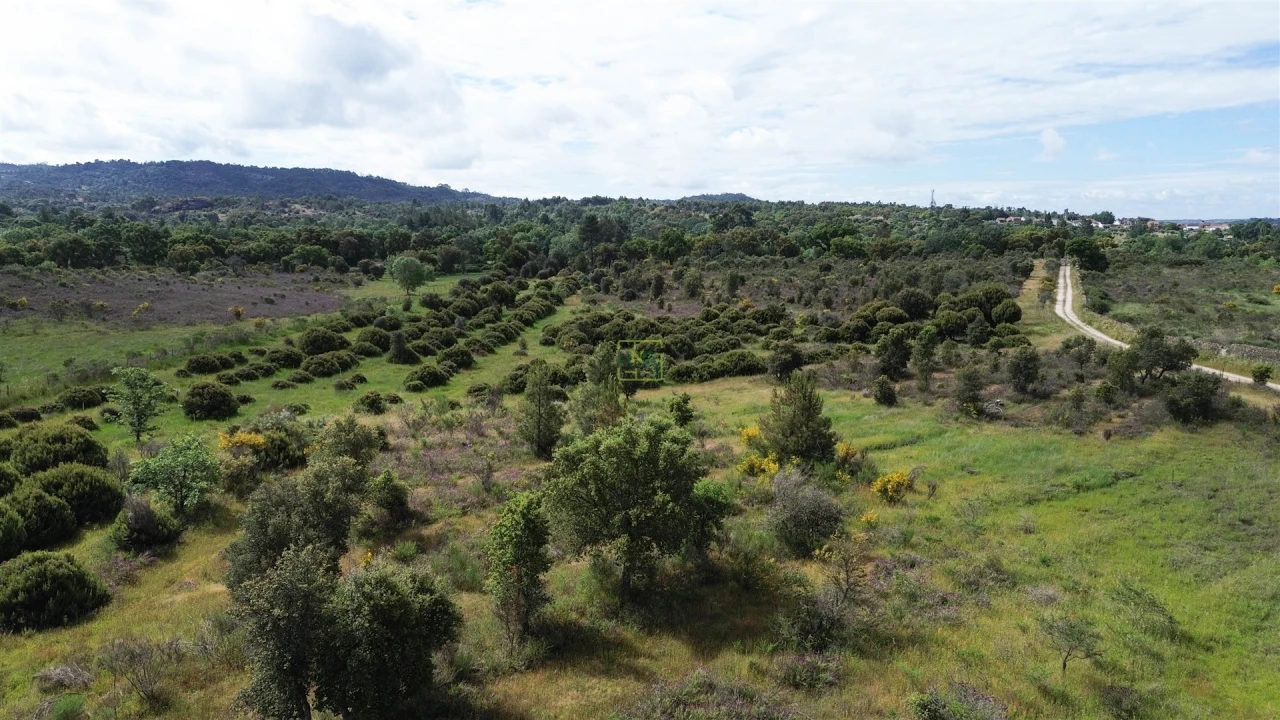 Terreno Agricola ou Rústico para Venda em Aldeia do Bispo, Águas e Aldeia de João Pires Foto 39
