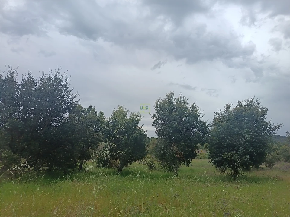 Terreno Agricola ou Rústico para Venda em Aldeia do Bispo, Águas e Aldeia de João Pires Foto 14