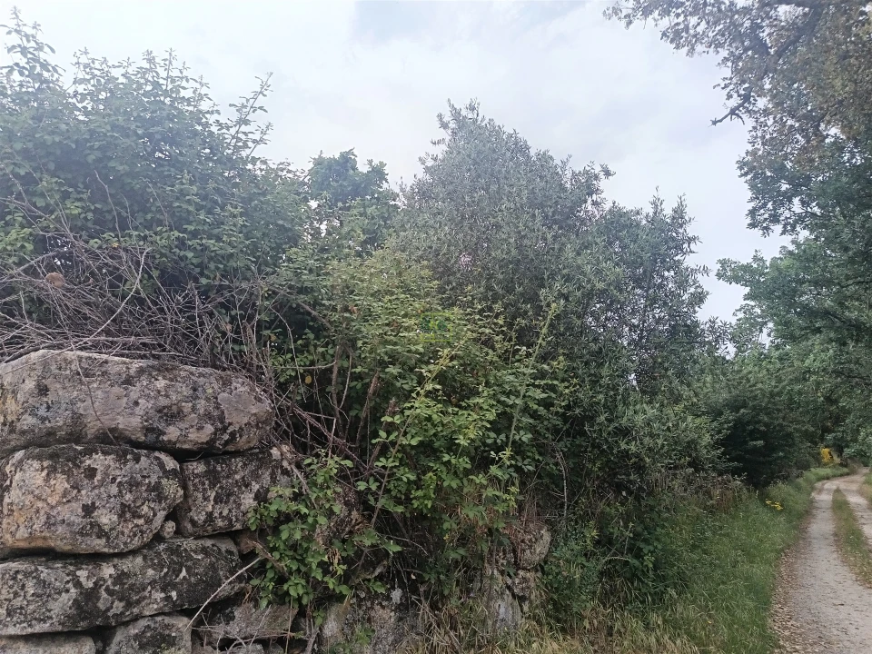 Terreno Agricola ou Rústico para Venda em Aldeia do Bispo, Águas e Aldeia de João Pires Foto 17