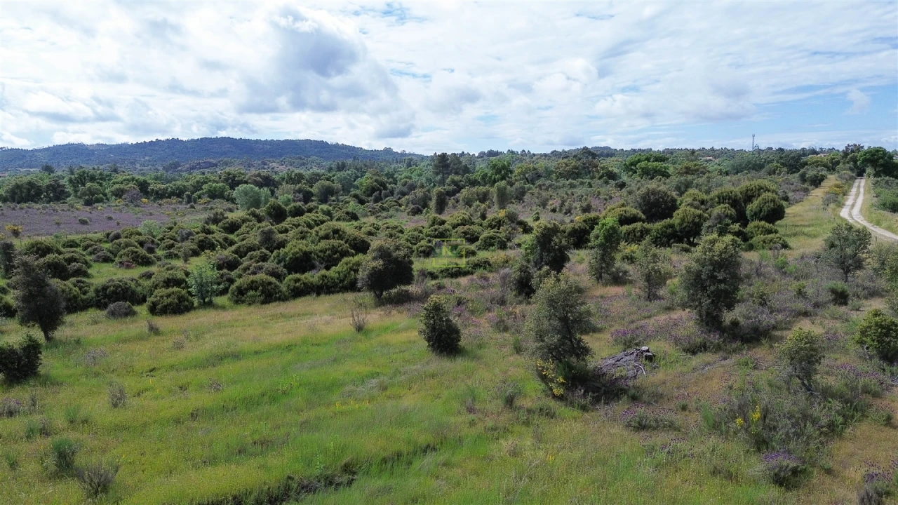 Terreno Agricola ou Rústico para Venda em Aldeia do Bispo, Águas e Aldeia de João Pires Foto 43