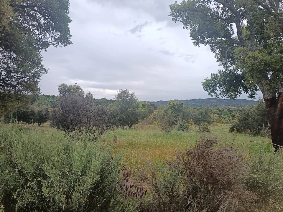 Terreno Agricola ou Rústico para Venda em Aldeia do Bispo, Águas e Aldeia de João Pires Foto 13