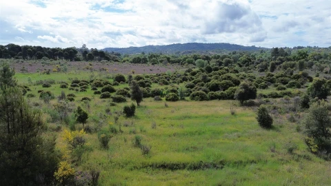 Terreno Agricola ou Rústico para Venda em Aldeia do Bispo, Águas e Aldeia de João Pires