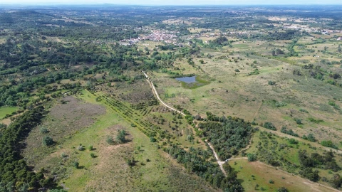 Terreno Agricola ou Rústico para Venda em Aldeia do Bispo, Águas e Aldeia de João Pires