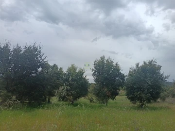 Terreno Agricola ou Rústico para Venda em Aldeia do Bispo, Águas e Aldeia de João Pires