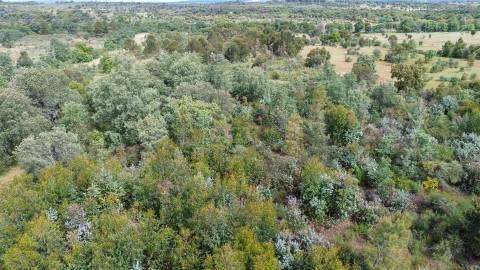 Terreno Agricola ou Rústico para Venda em Aldeia do Bispo, Águas e Aldeia de João Pires