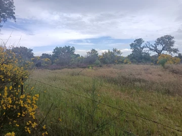 Terreno Agricola ou Rústico para Venda em Aldeia do Bispo, Águas e Aldeia de João Pires