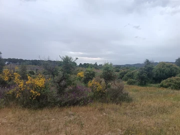 Terreno Agricola ou Rústico para Venda em Aldeia do Bispo, Águas e Aldeia de João Pires