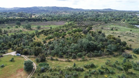 Terreno Agricola ou Rústico para Venda em Aldeia do Bispo, Águas e Aldeia de João Pires