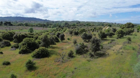 Terreno Agricola ou Rústico para Venda em Aldeia do Bispo, Águas e Aldeia de João Pires