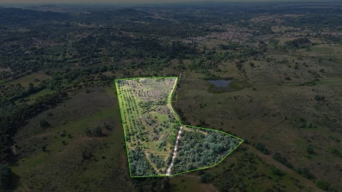 Terreno Agricola ou Rústico para Venda em Aldeia do Bispo, Águas e Aldeia de João Pires