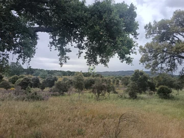 Terreno Agricola ou Rústico para Venda em Aldeia do Bispo, Águas e Aldeia de João Pires