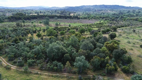 Terreno Agricola ou Rústico para Venda em Aldeia do Bispo, Águas e Aldeia de João Pires