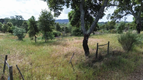 Terreno Agricola ou Rústico para Venda em Aldeia do Bispo, Águas e Aldeia de João Pires