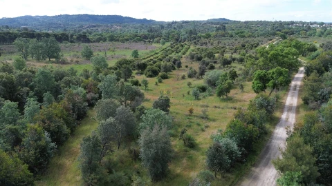 Terreno Agricola ou Rústico para Venda em Aldeia do Bispo, Águas e Aldeia de João Pires